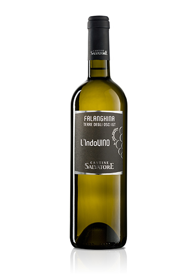 Lindovino Falanghina 72dpi vert